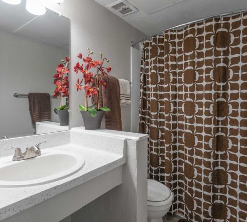 Luna Verde Apartments; pet friendly; one, two, three bedrooms; El Paso, TX near Fort Bliss UTEP